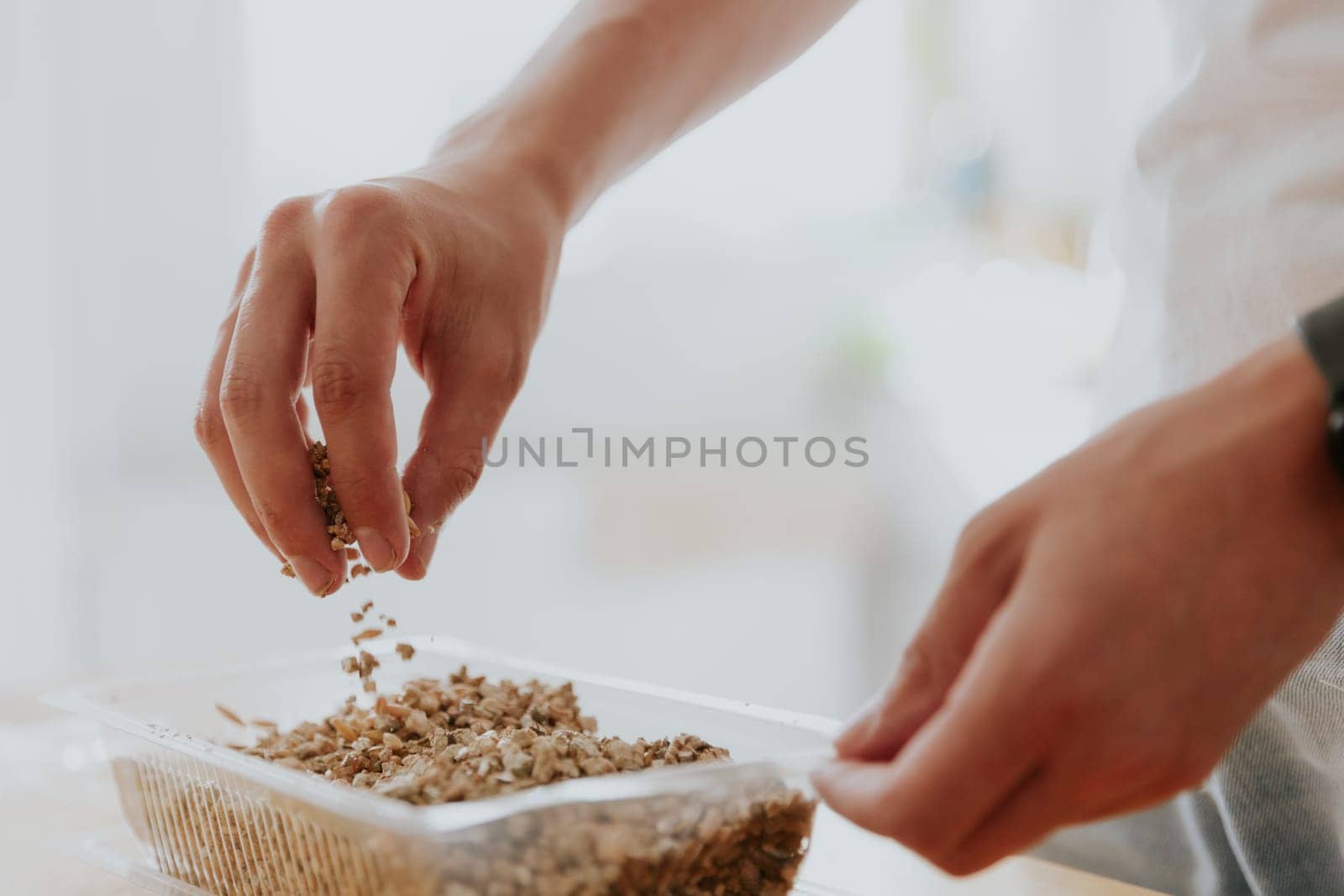 One young Caucasian unrecognizable man mixes and pours wheat seeds with soil into a container with one hand, standing in the kitchen at a wooden table, close-up side view.