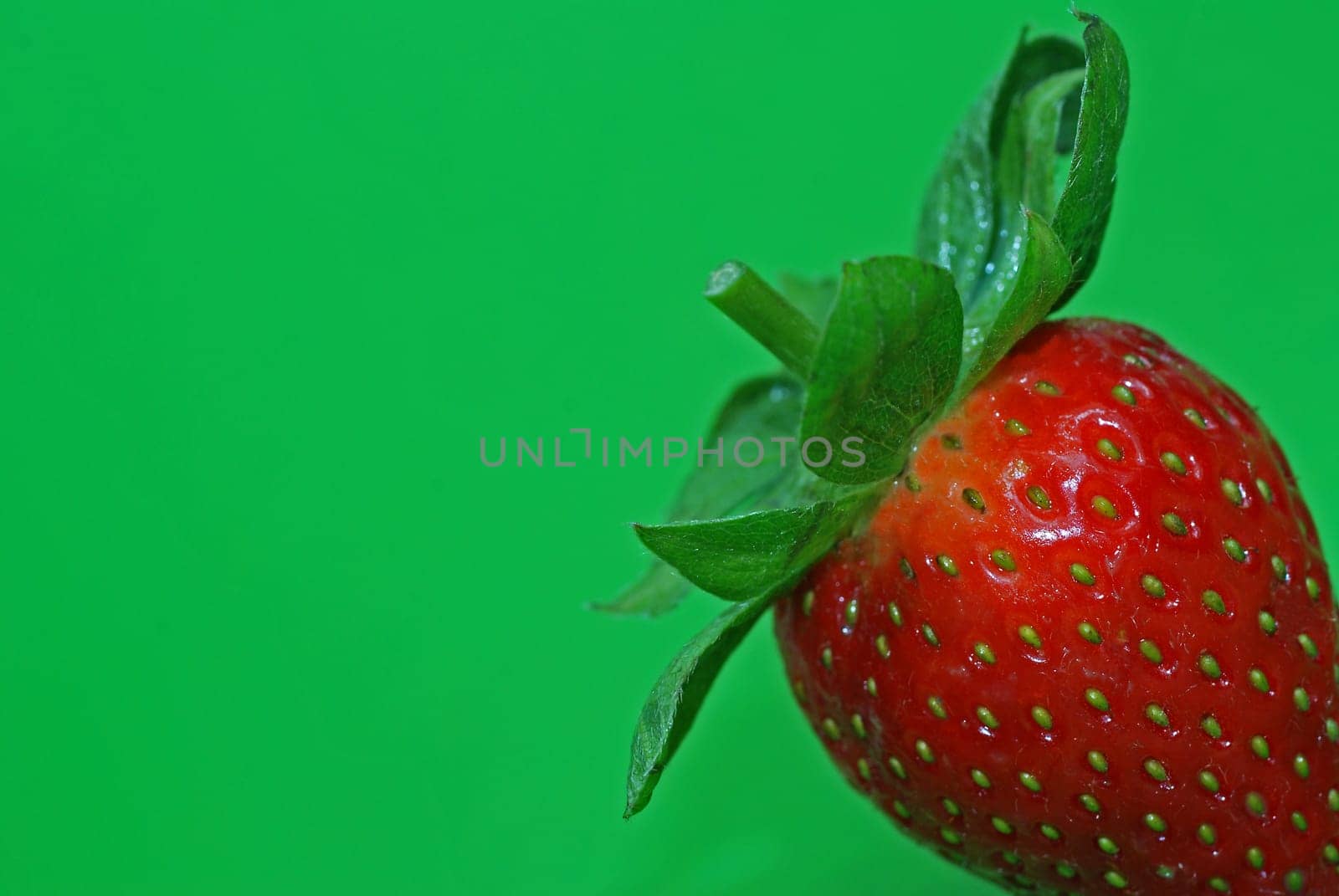 Strawberry on green background