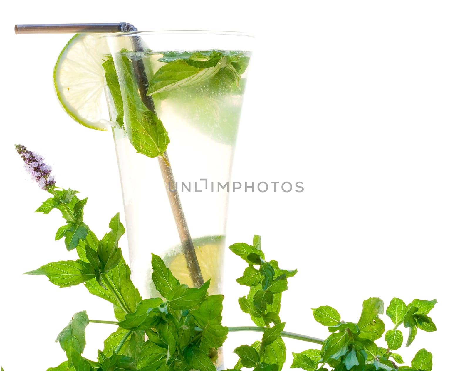 Mojito cocktail