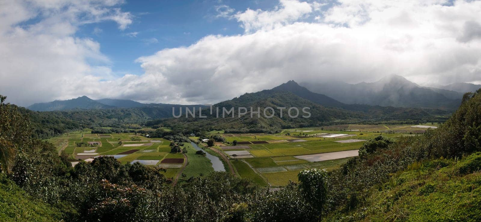 Hanalei Valley Landscape on Kauai
