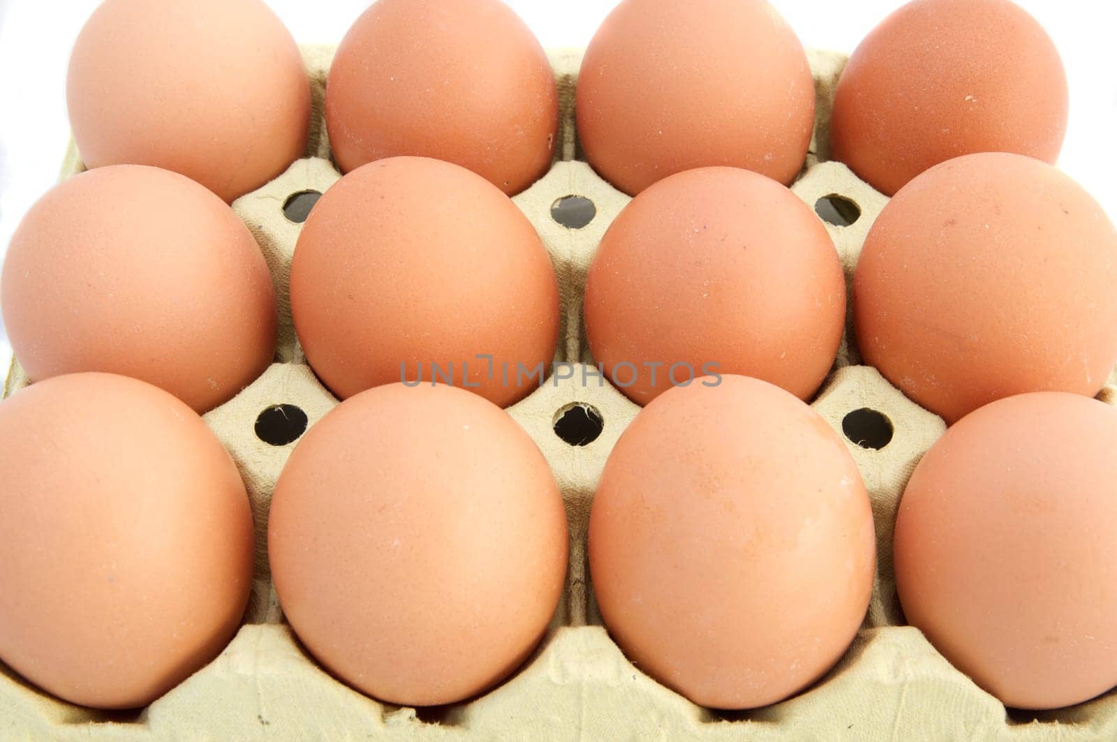 Chicken eggs