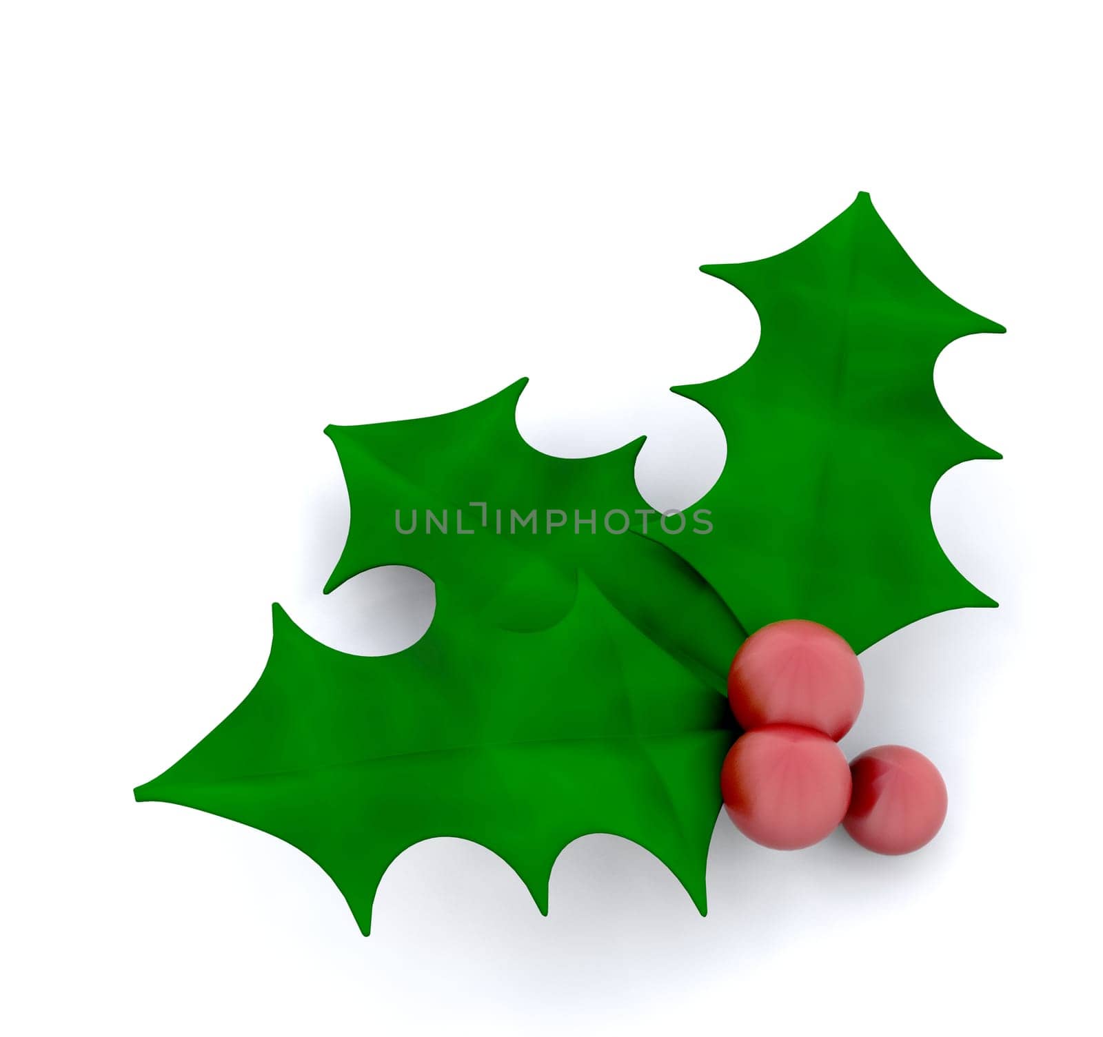 Holly and berries