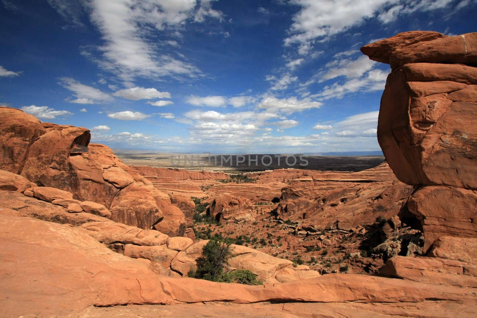 Arches - Devils Garden View