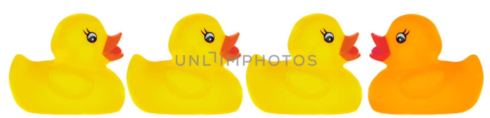 Plastic ducks