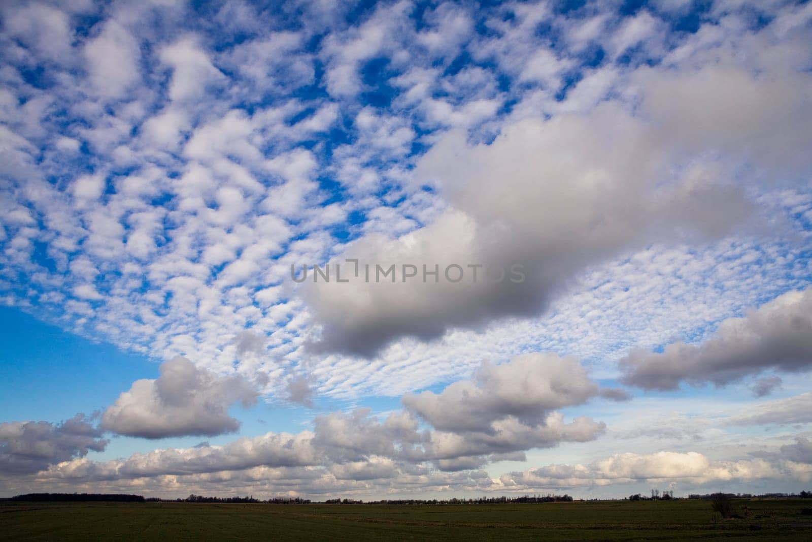 Cloud Play