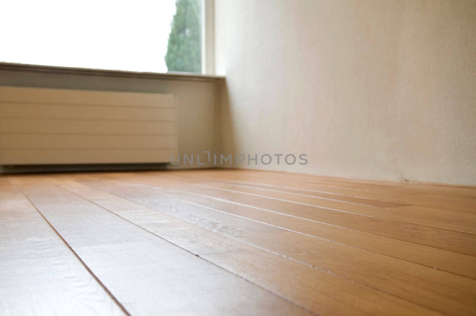 Empty Room
