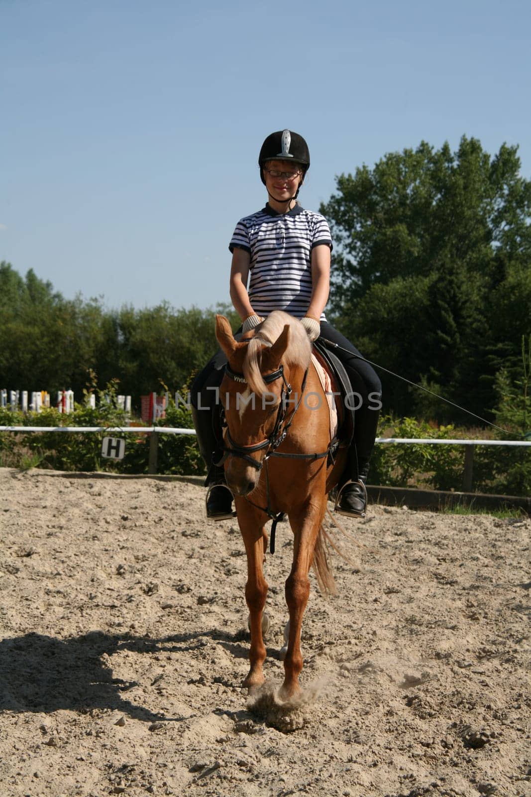 Young Rider
