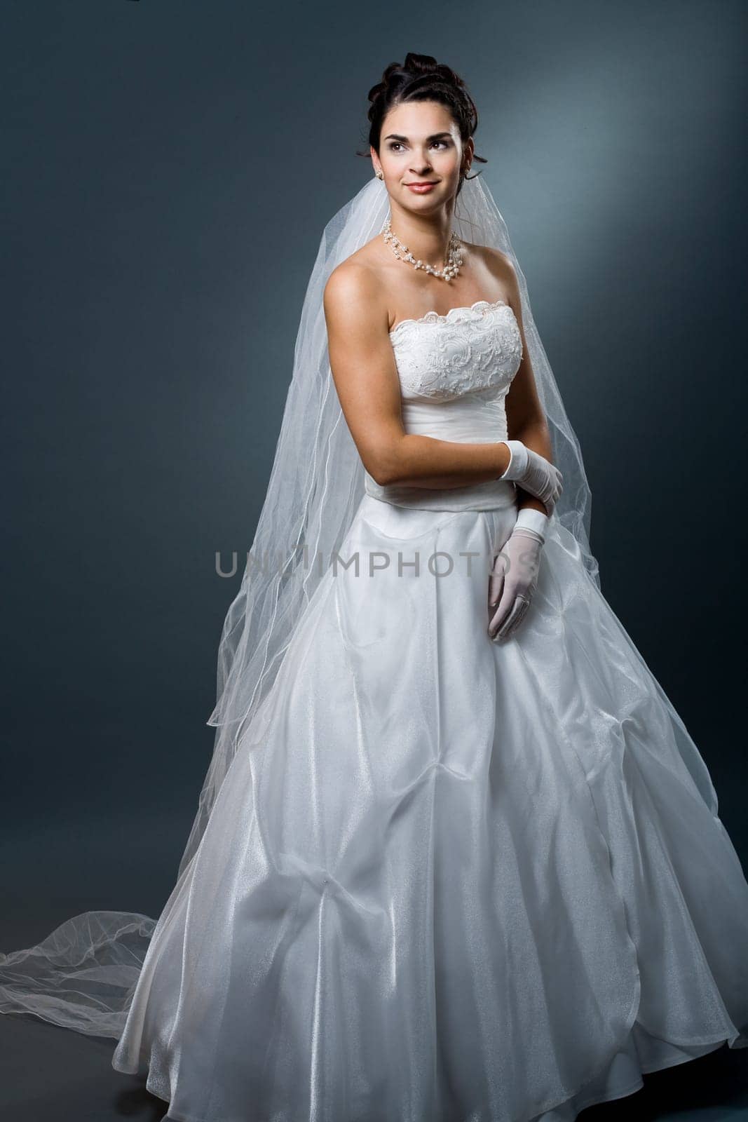 Wedding dress and veil