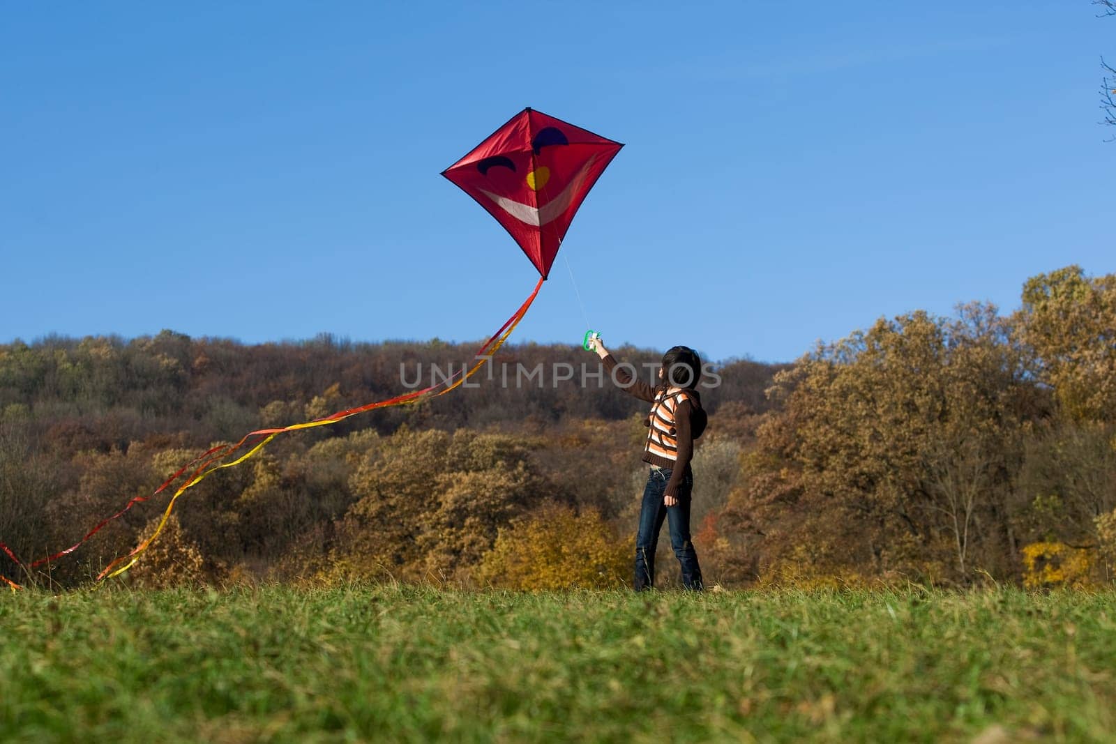 Kite flying