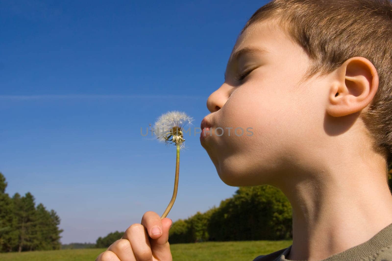 Young child blowing dandelion