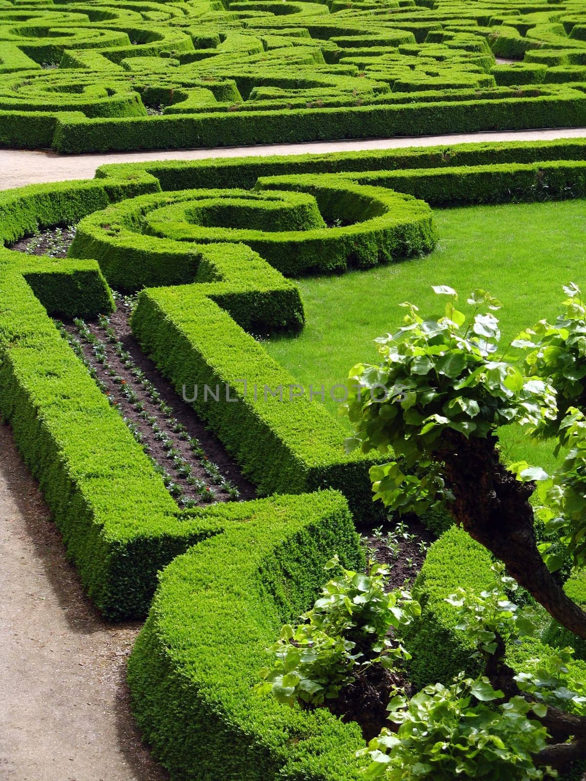 Park of castle - Czech republic Dobris