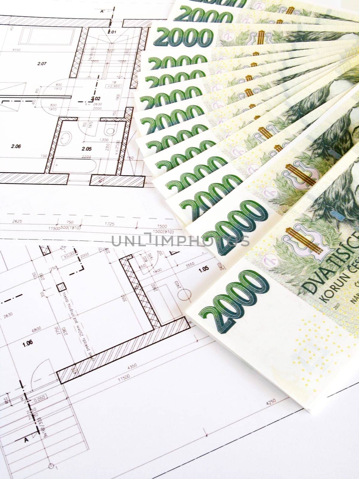 Money - Czech crowns and plans