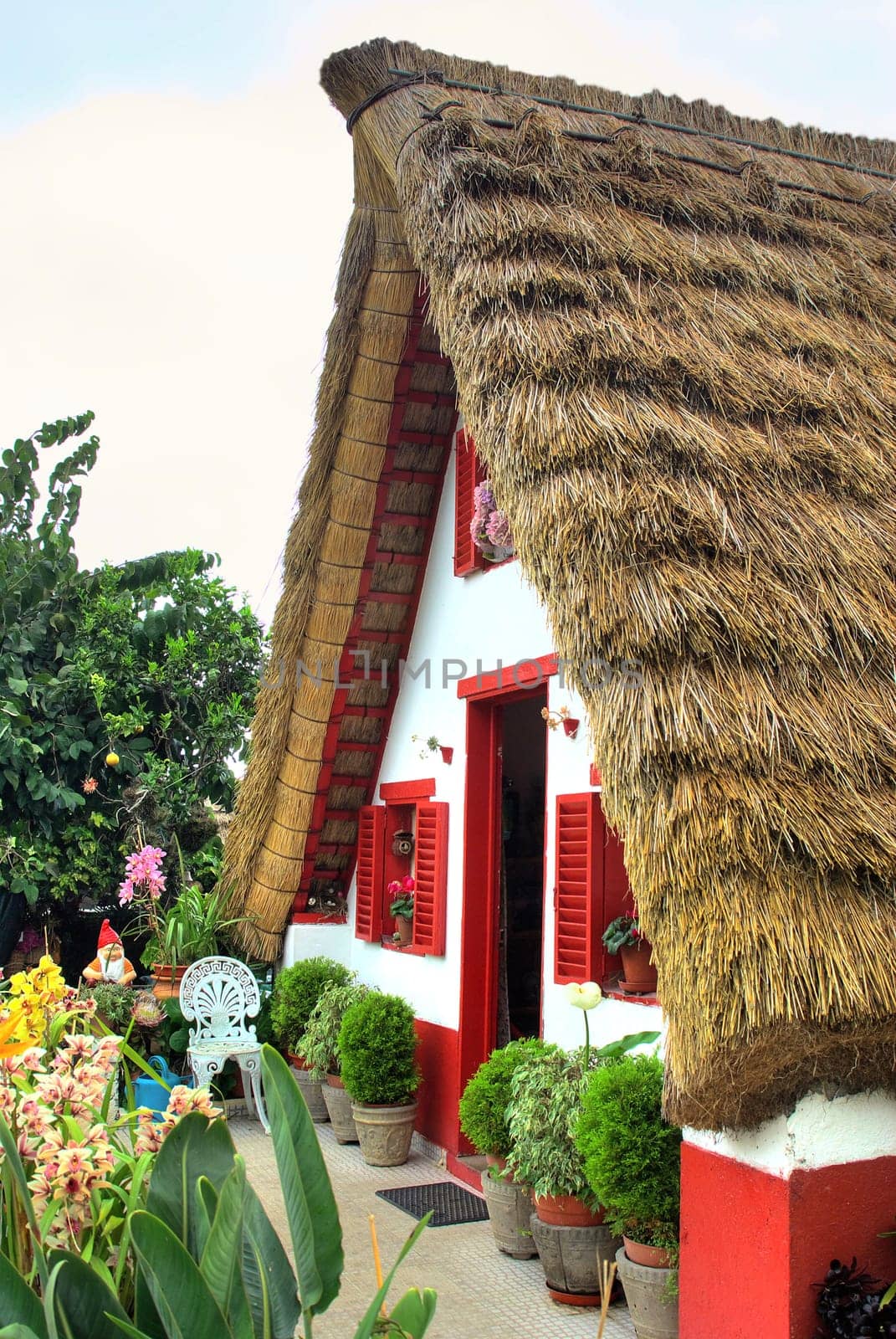 Casa de Colmo