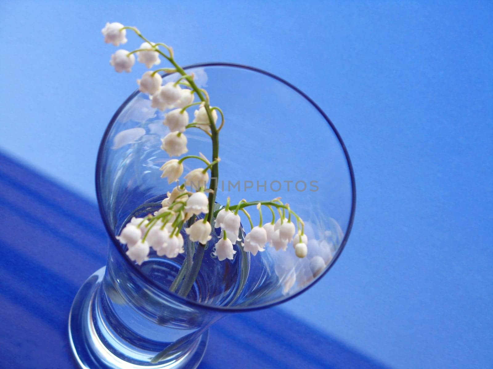 lily of the valley - detail