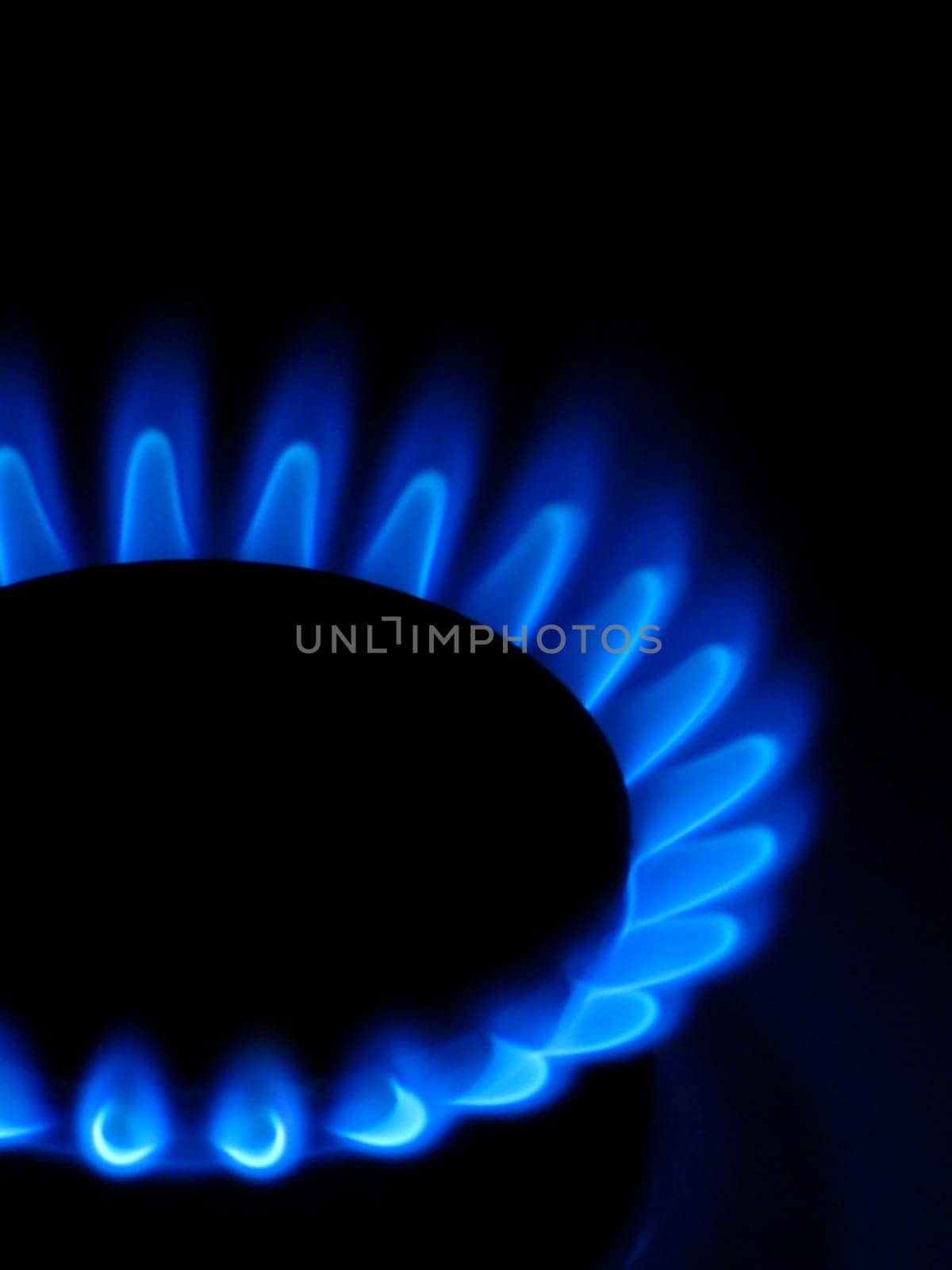 Gas stove