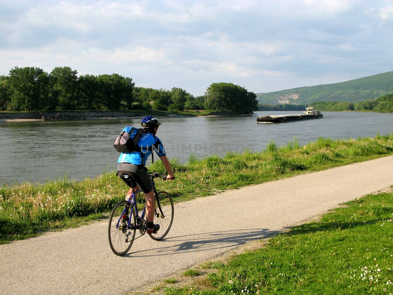 Road Cyclist