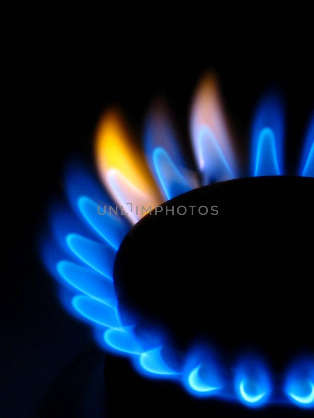 Gas stove