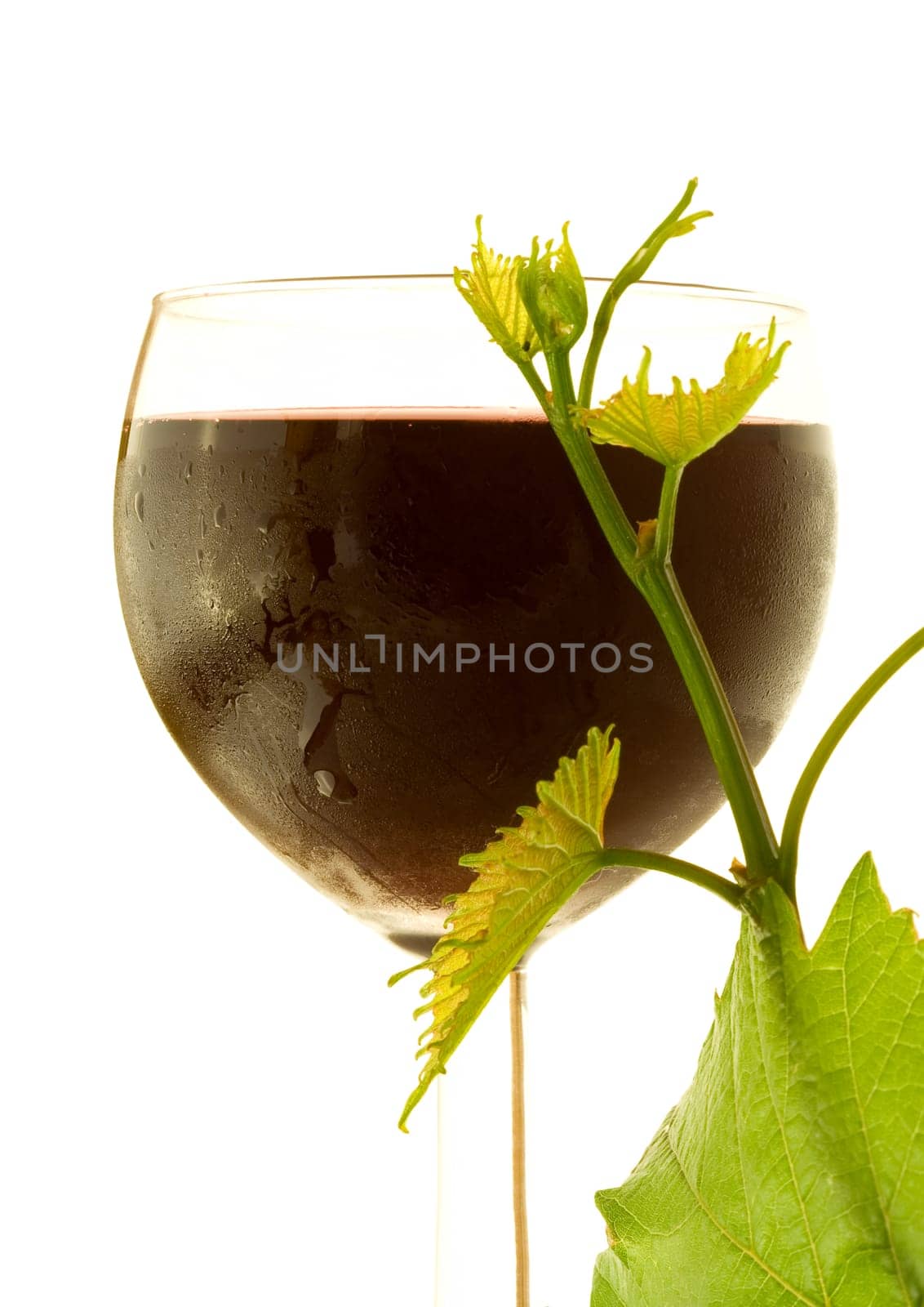Red glass wine