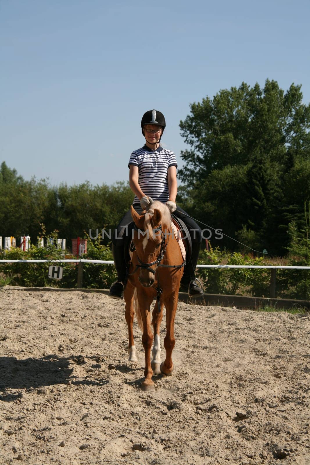 Young Rider