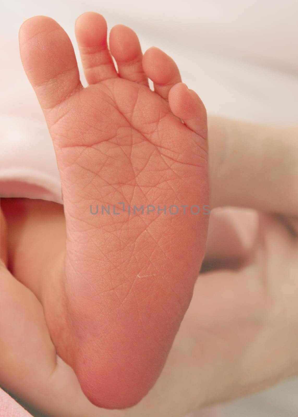 Tiny foot of a newborn baby