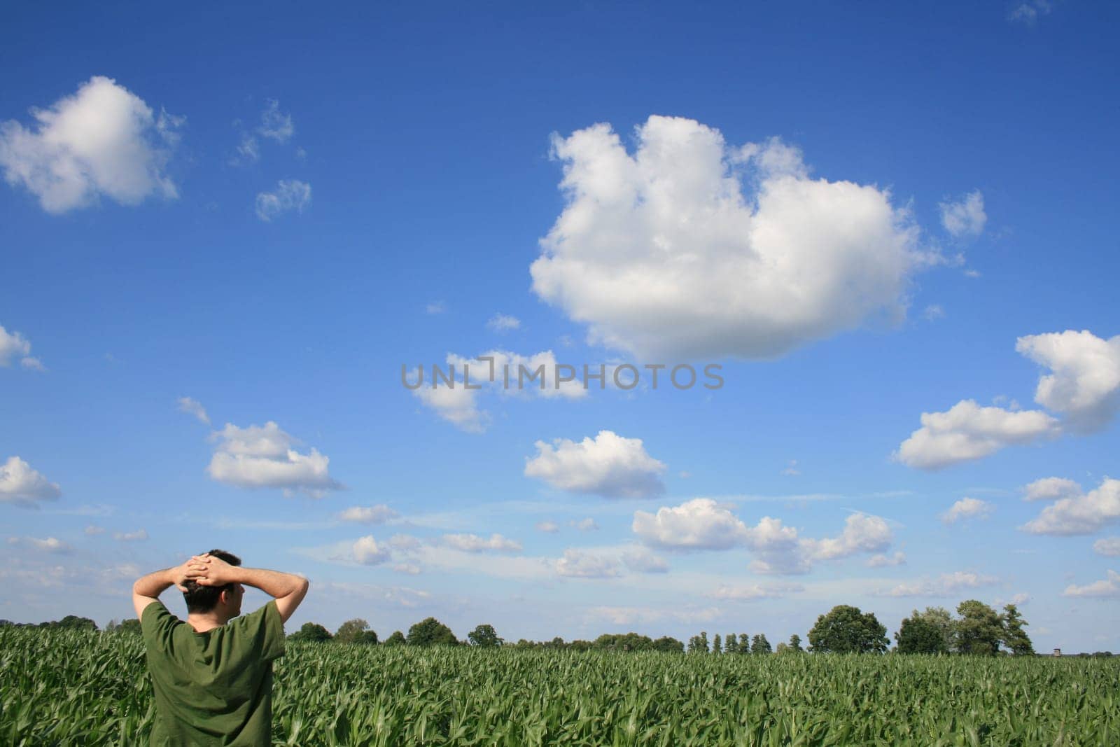 summer without food