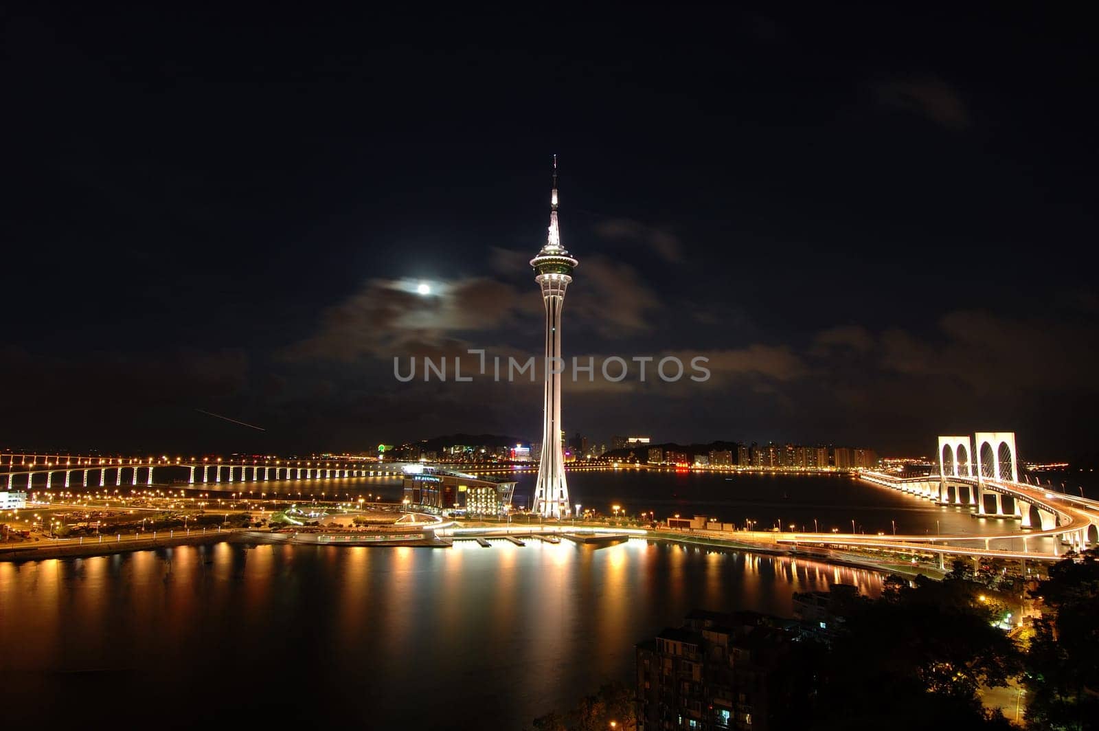 Macau night