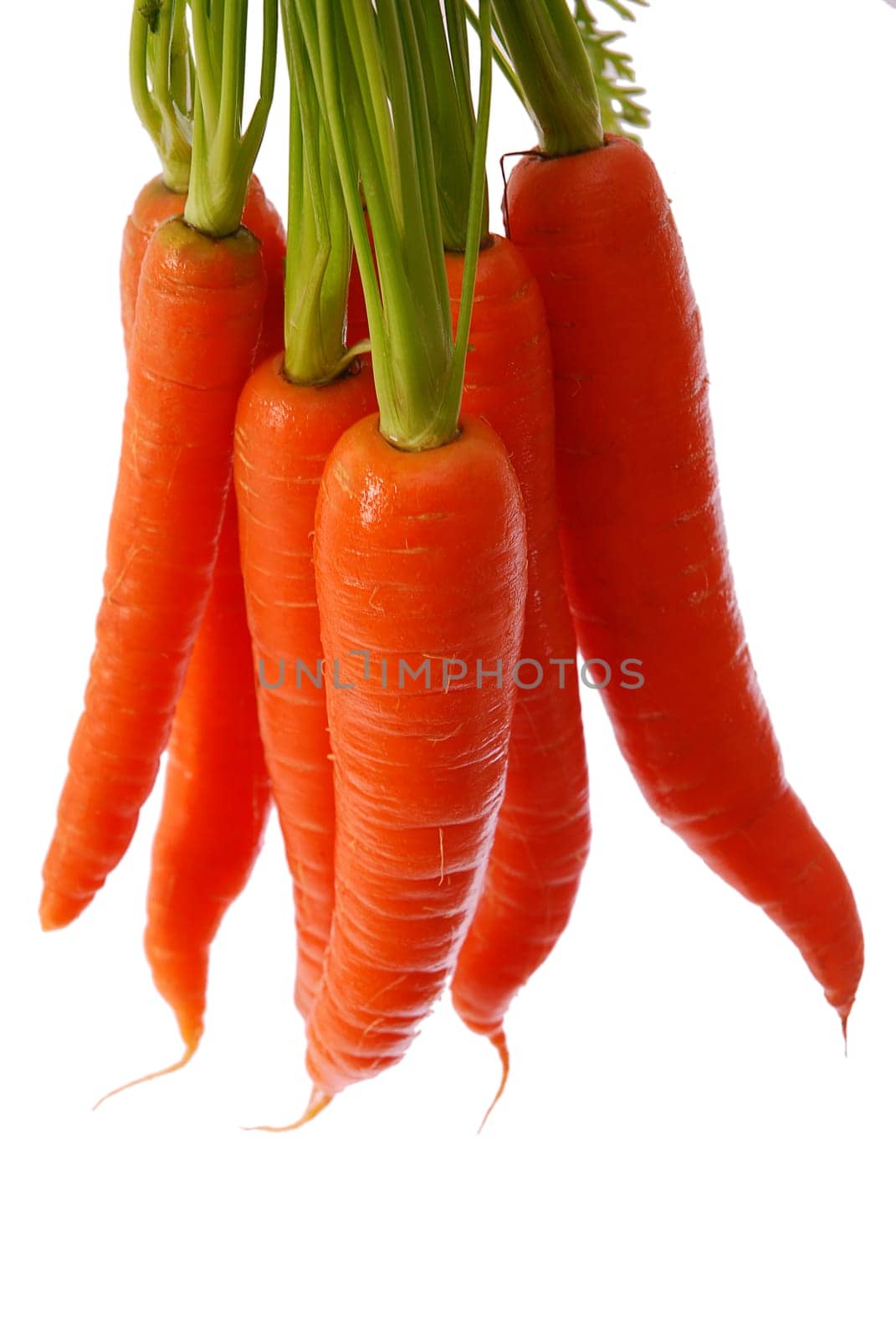 Carrots