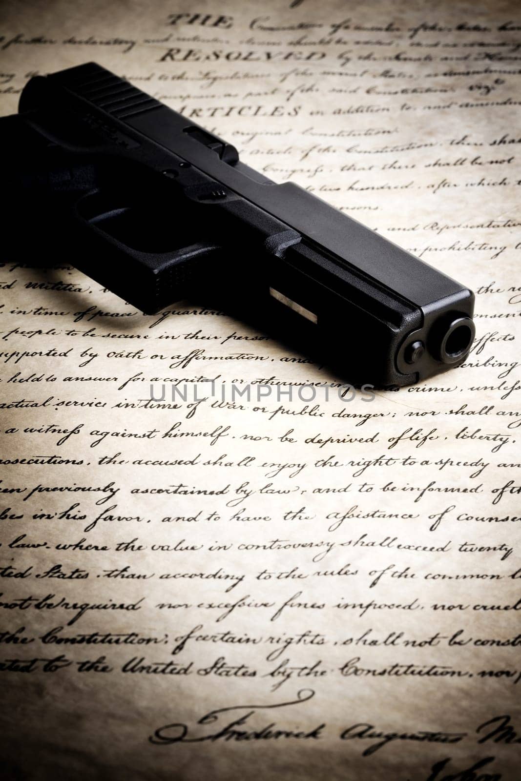 gun on constitution
