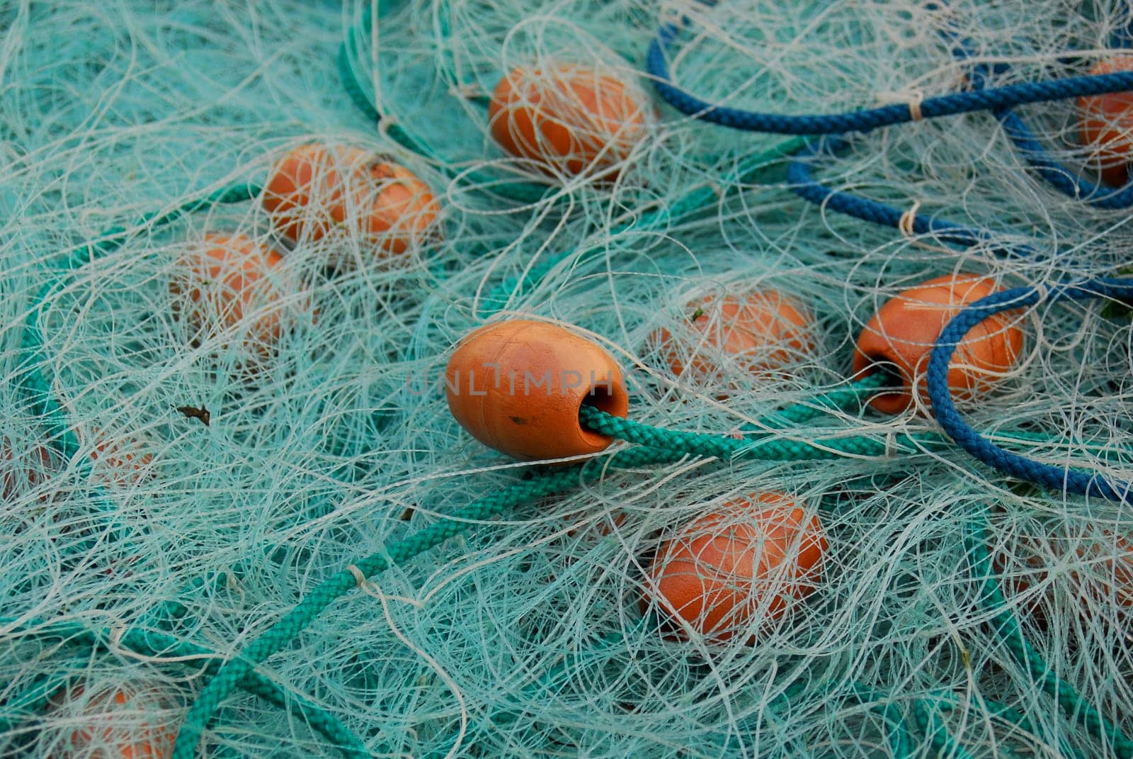 The Fishing Net
