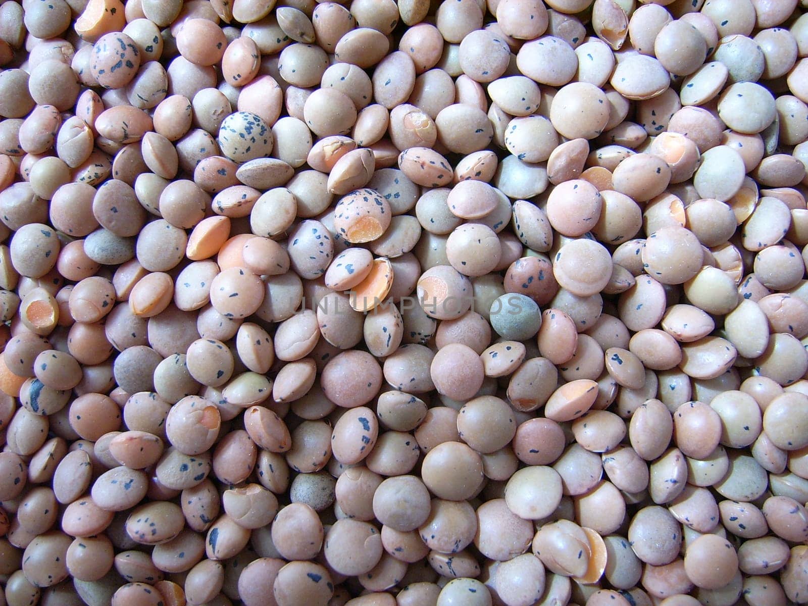 Mountain lentils