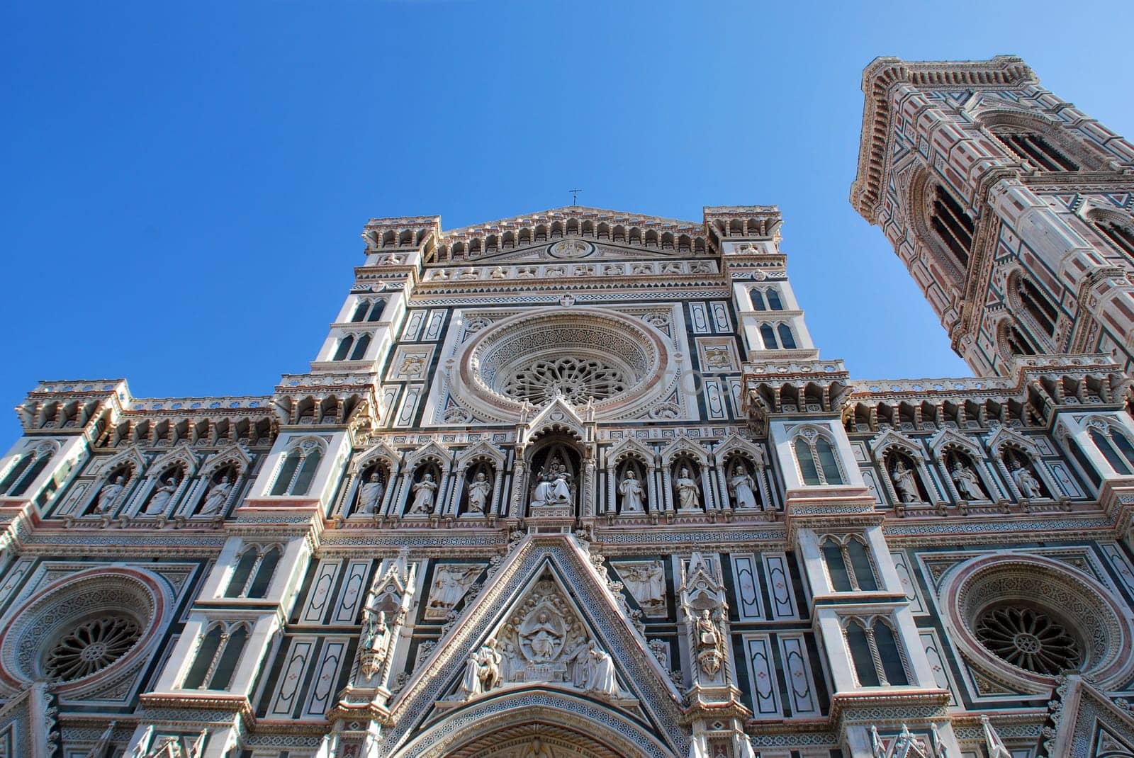 Firenze 6442