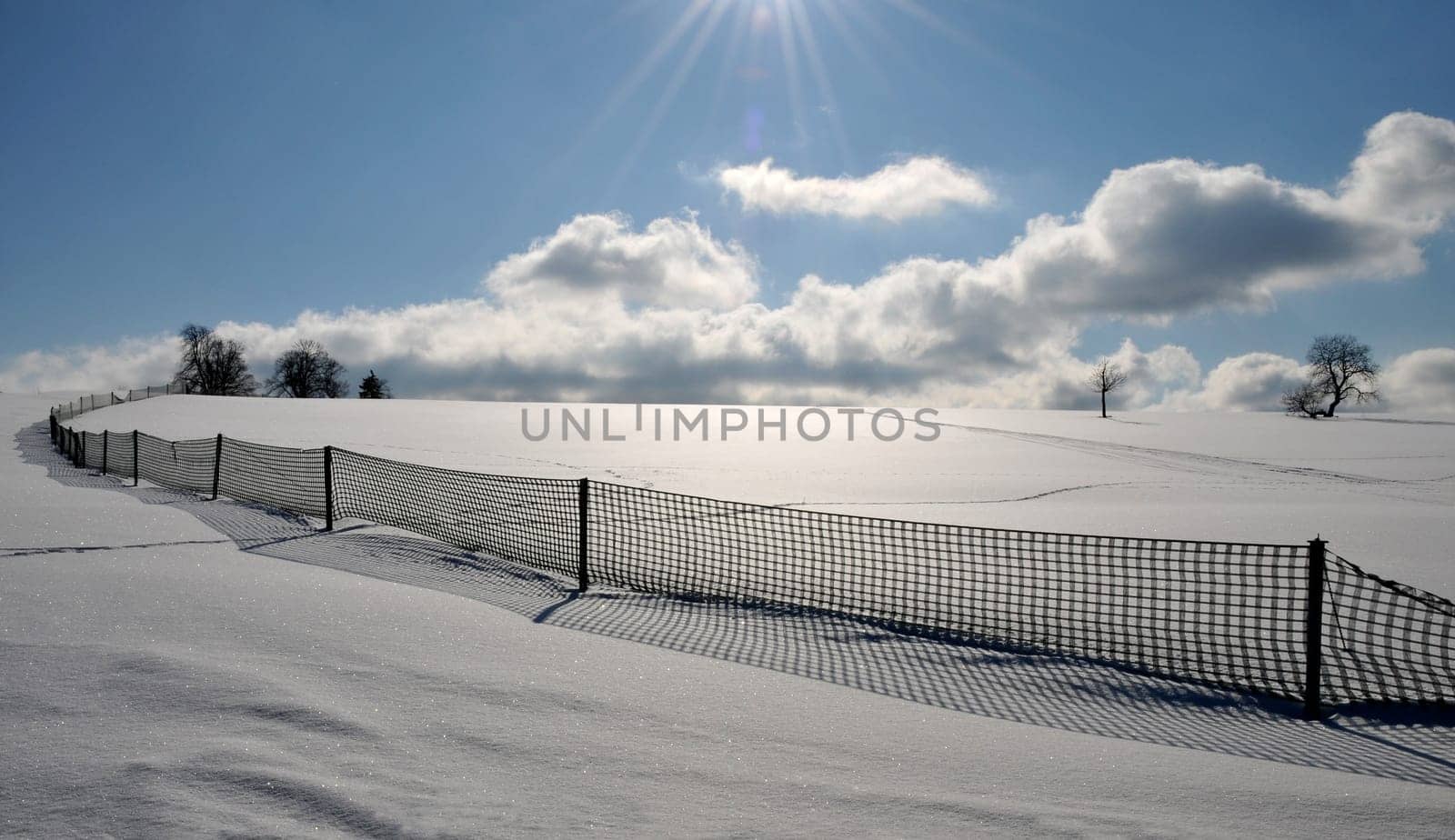 Snow fence in the Harz Mountains.