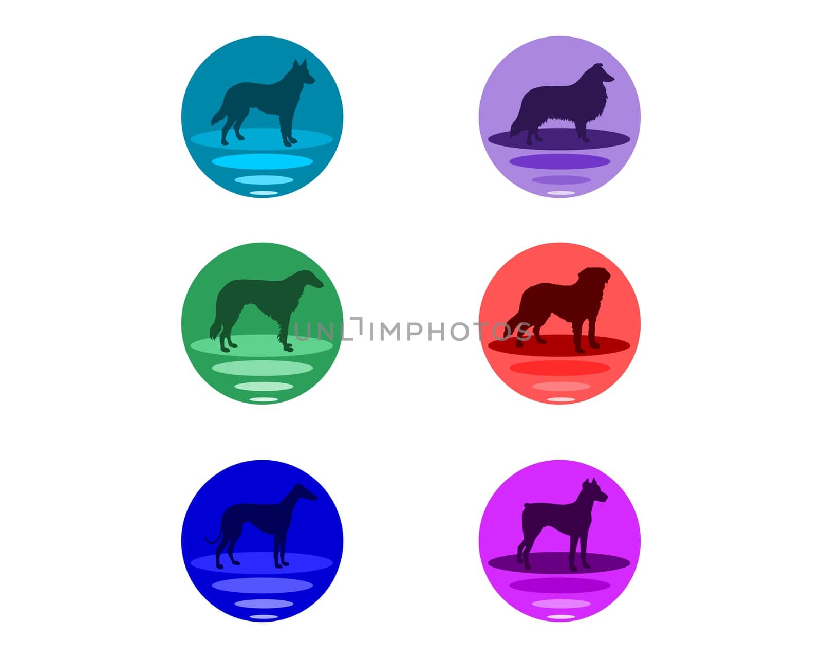 Dog Buttons