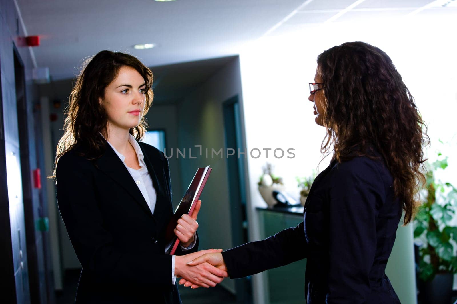 Businesswomen shaking hands