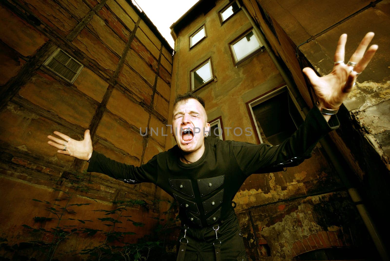 Fury