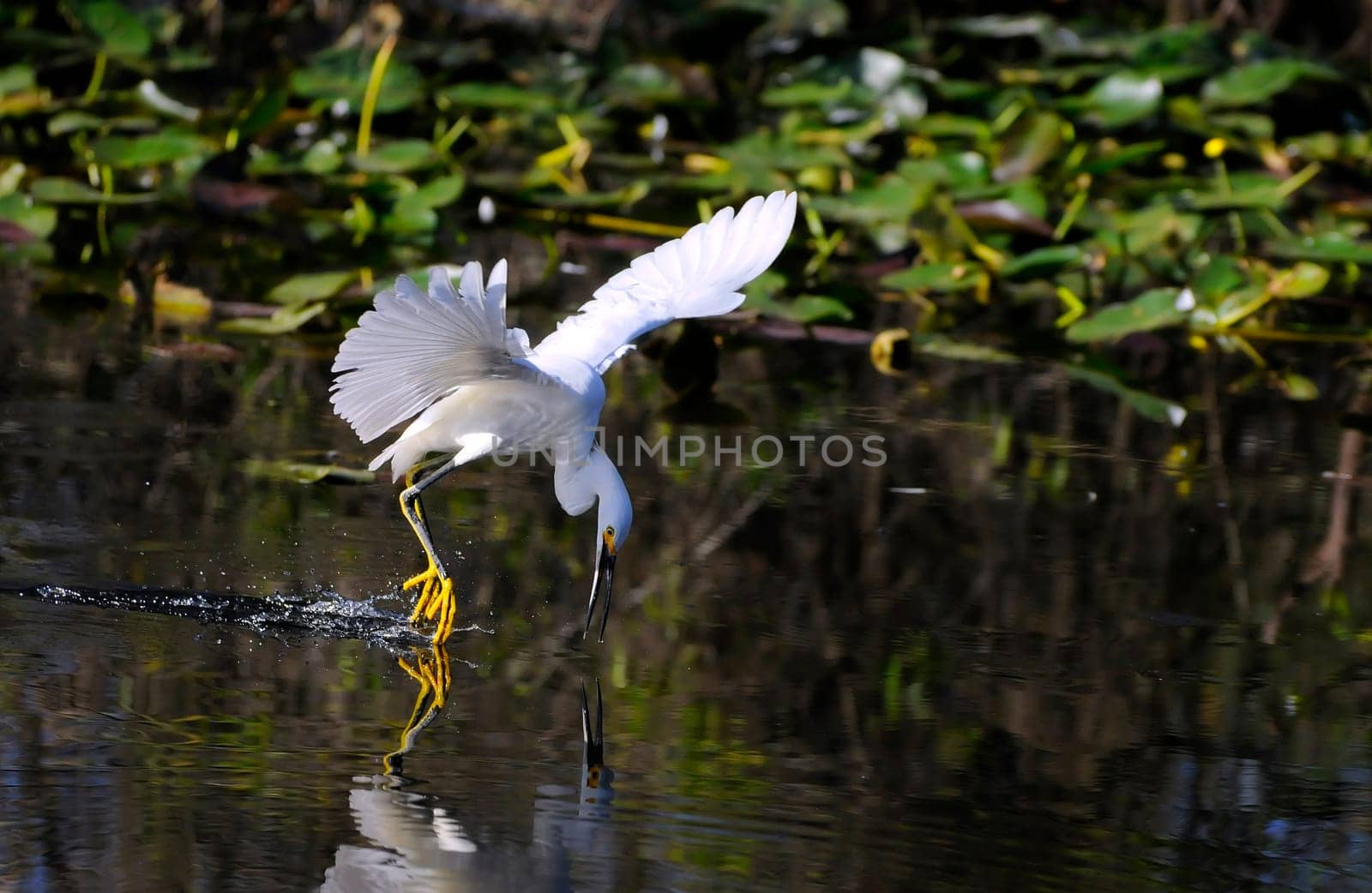 Fishing