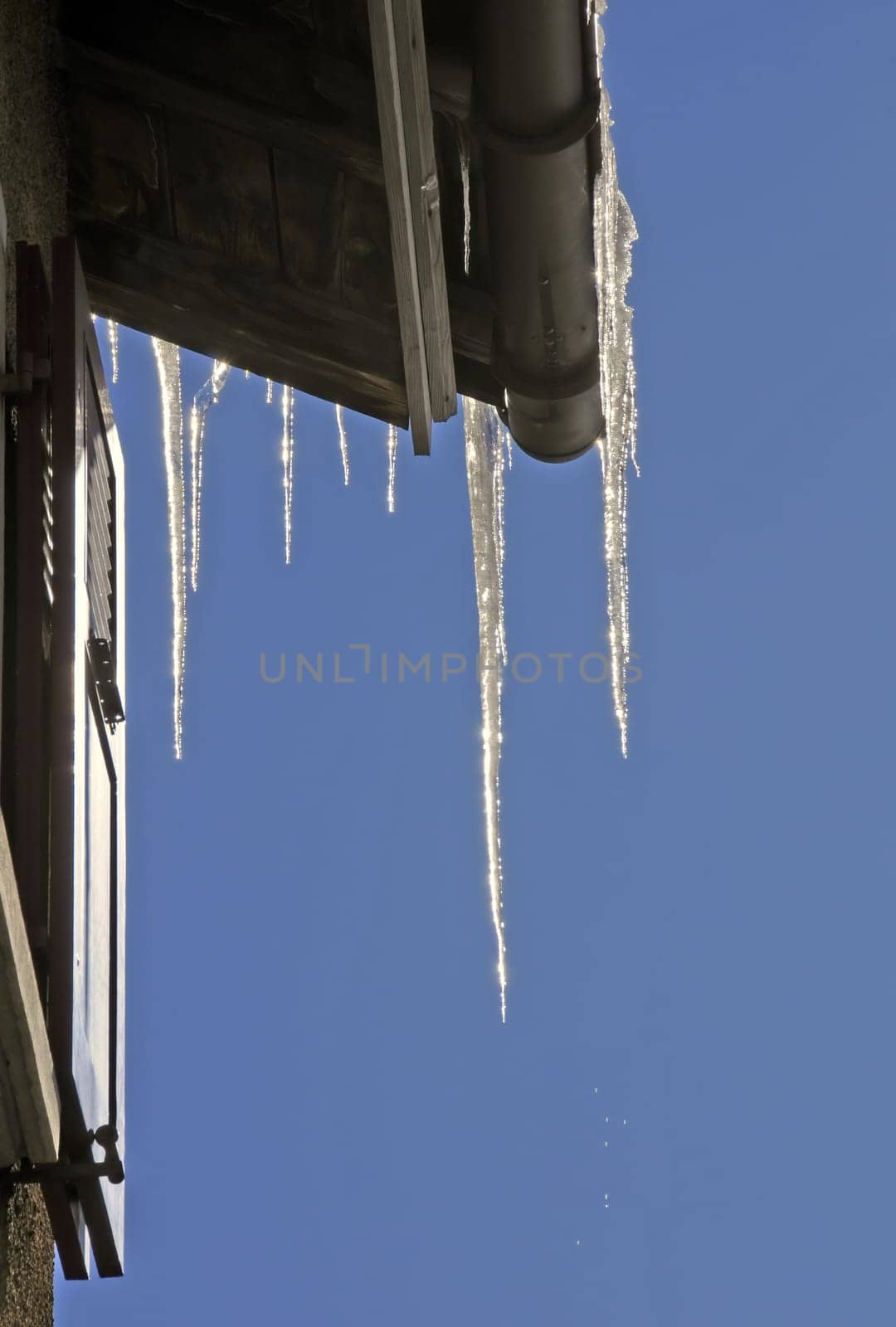 Icicle