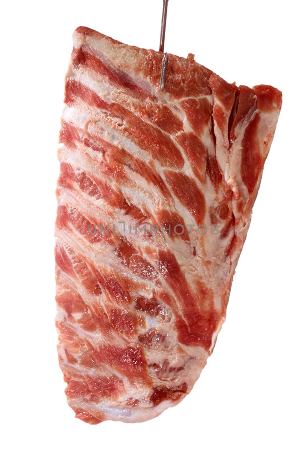 Shell ribs