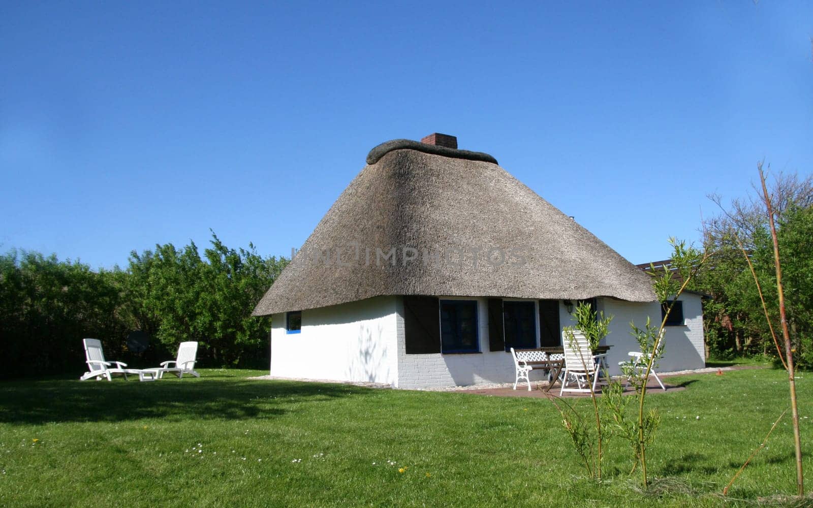 Thatched roof house