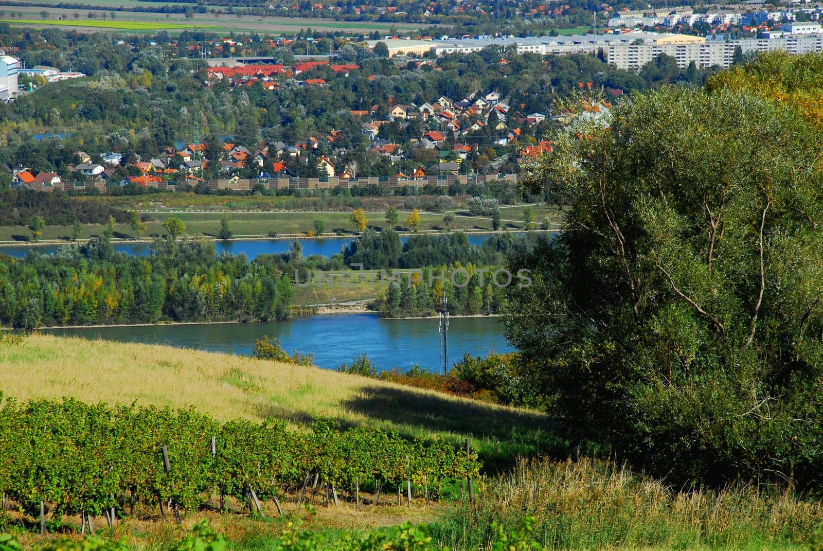 Danube Island The recreation of the Viennese