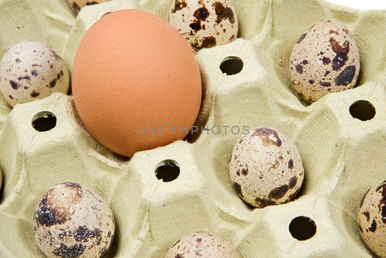 Differents eggs