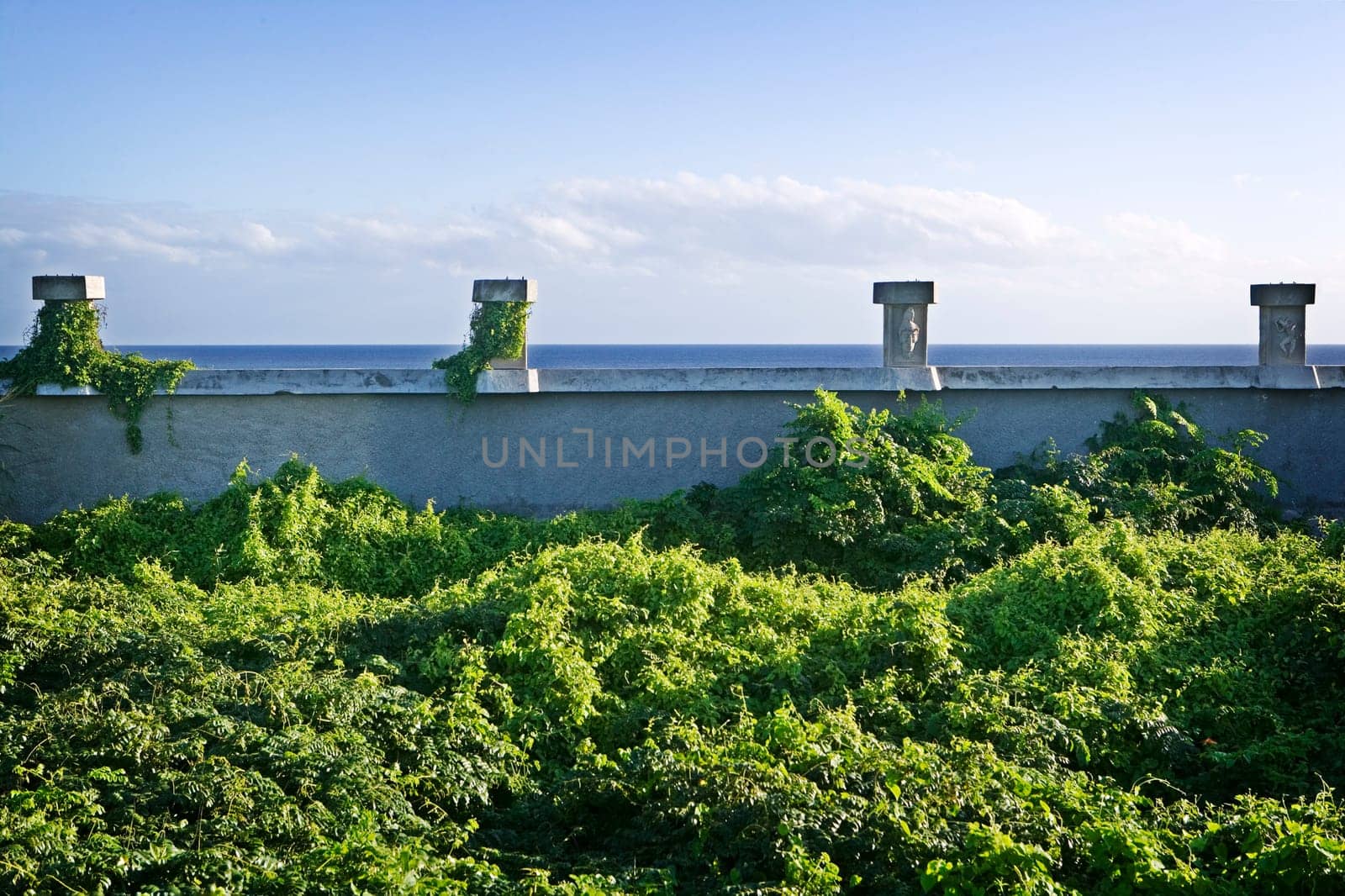 Abandoned Ruins White Wall and Columns