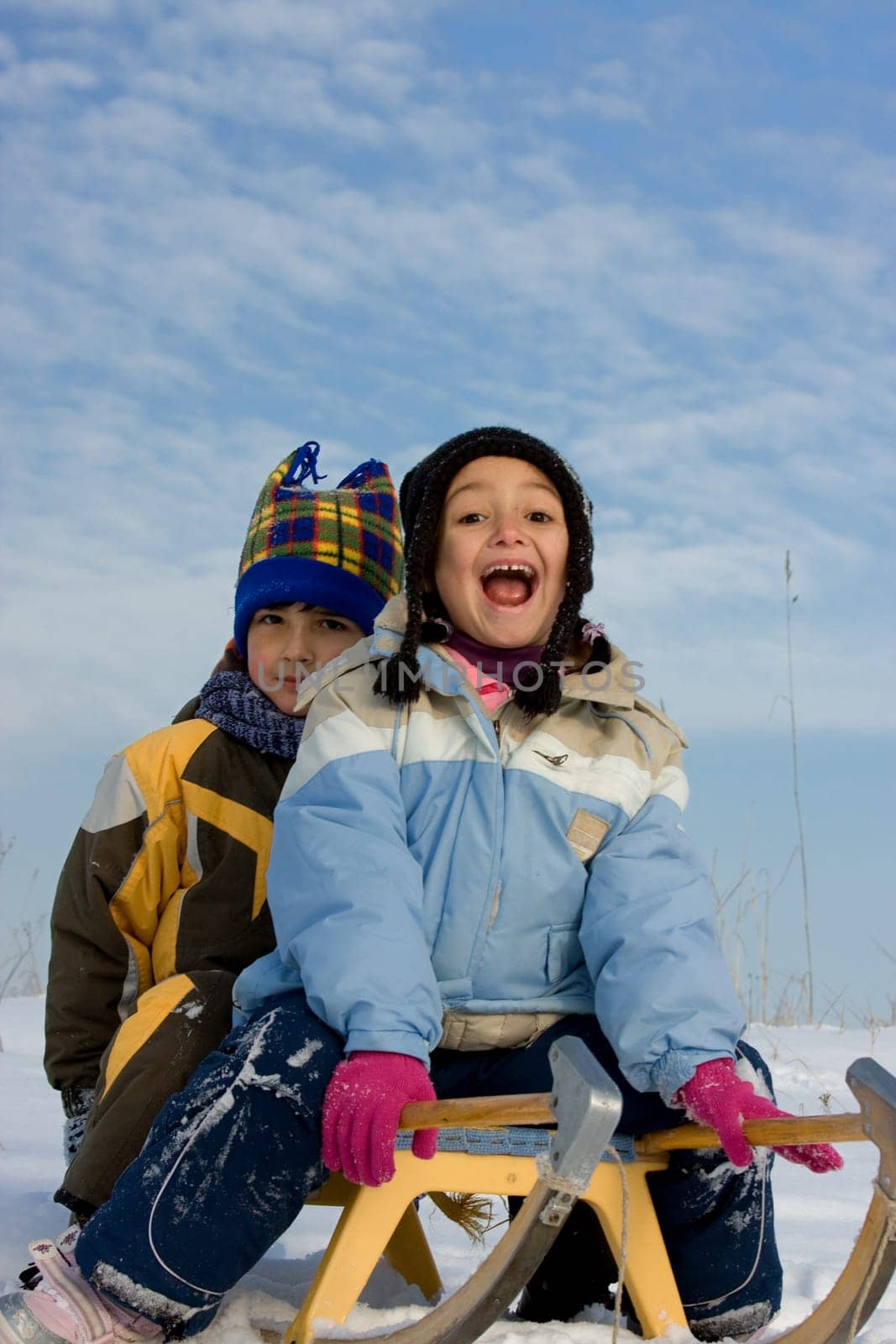 Kids on sleigh
