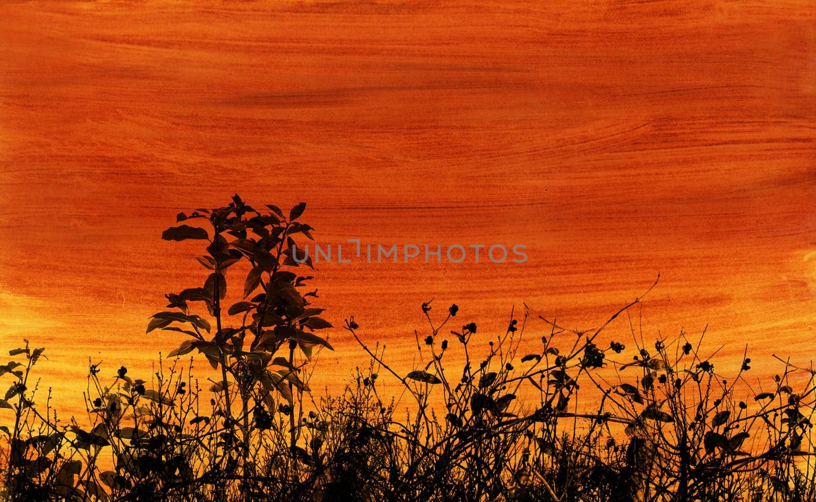 Grunge foliage
