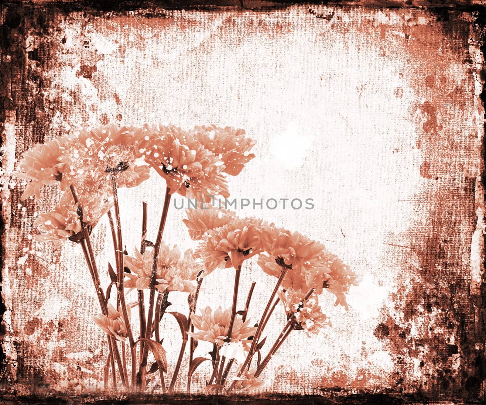 Floral grunge