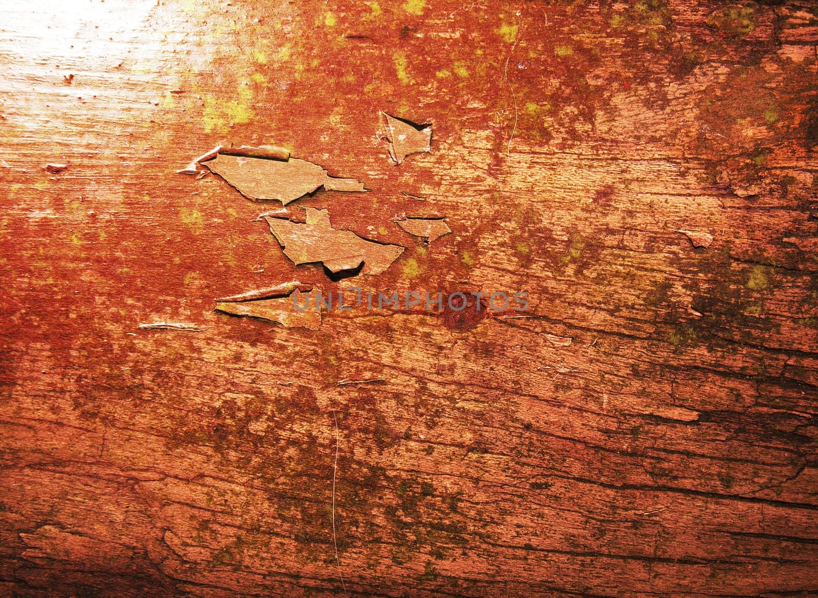 Grunge background