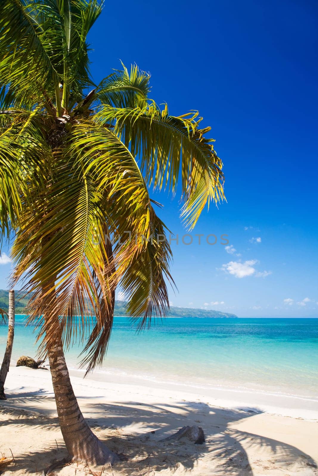 Caribbean