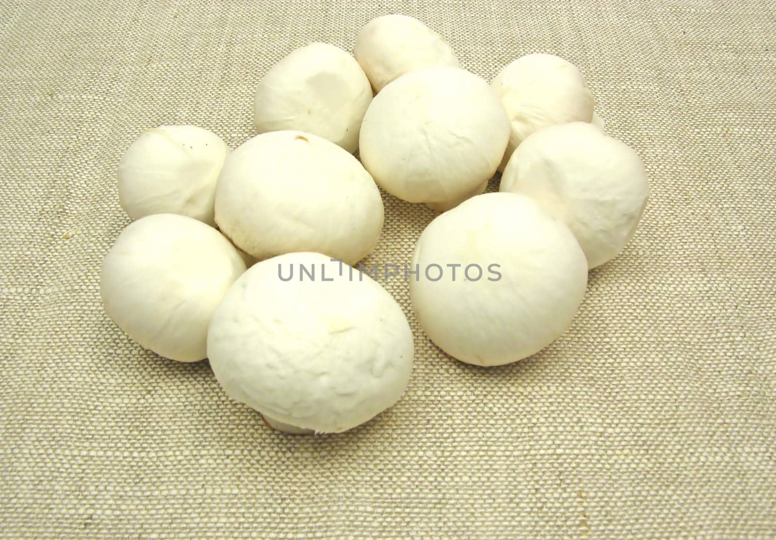 White cleaned mushrooms on beige tablecloth