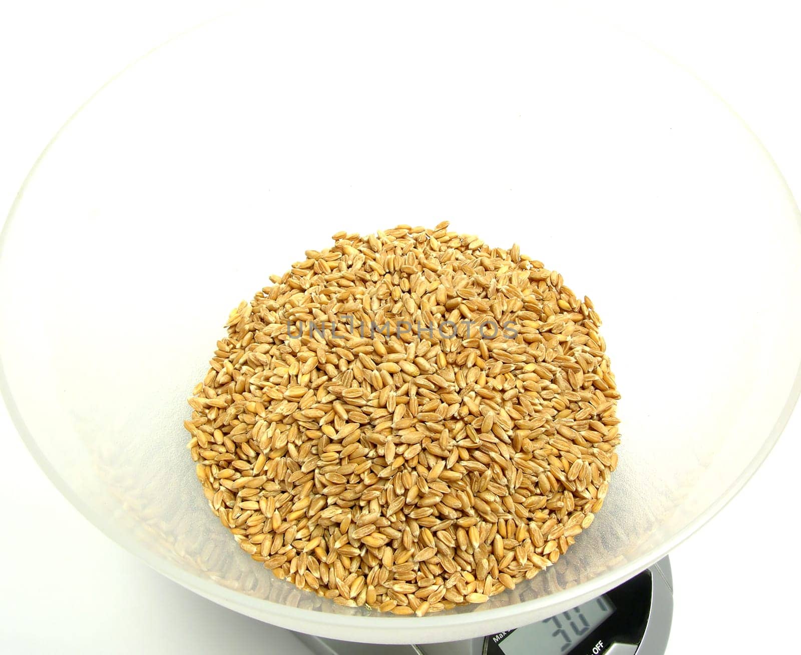 Spelt cereals for weighing on digital scales