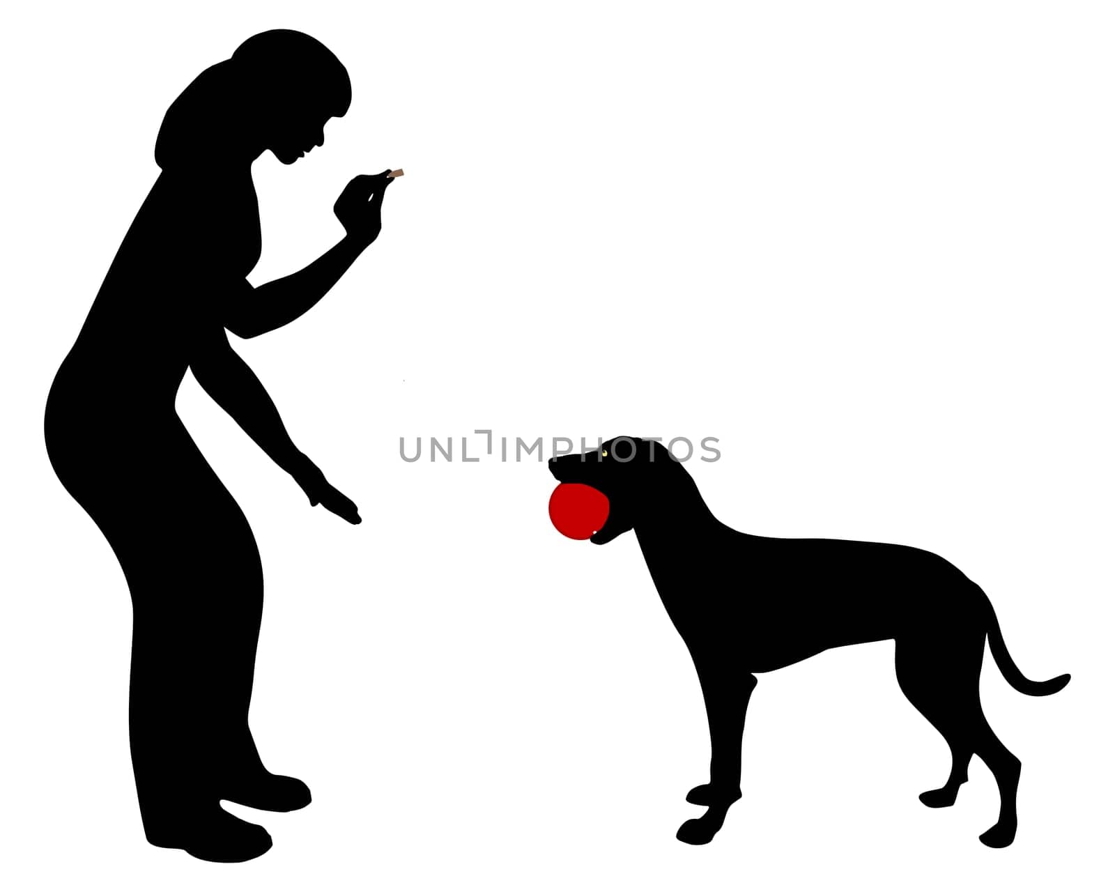 Dog obedience Command trade